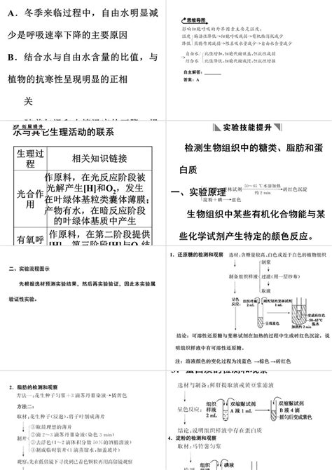 長生子|第1章